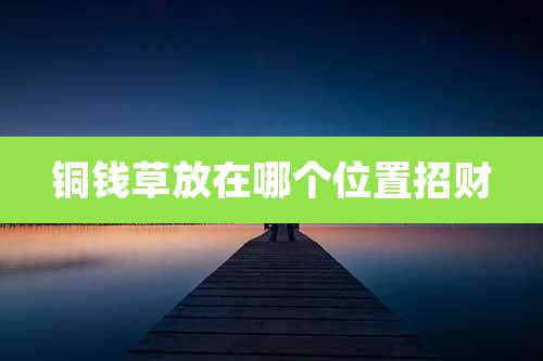 铜钱草放在哪个位置招财