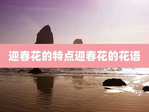 迎春花的特点迎春花的花语