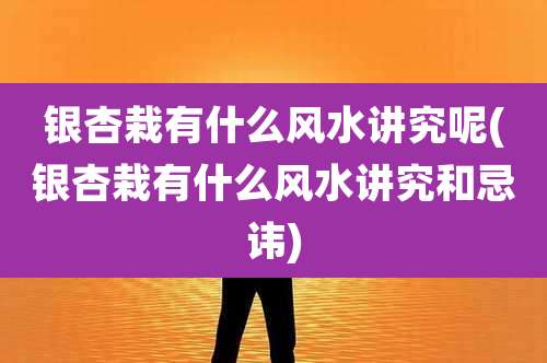 银杏栽有什么风水讲究呢(银杏栽有什么风水讲究和忌讳)