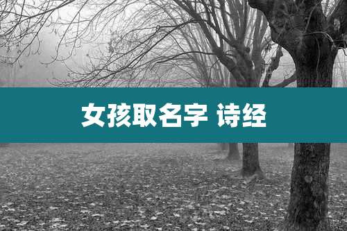 女孩取名字 诗经