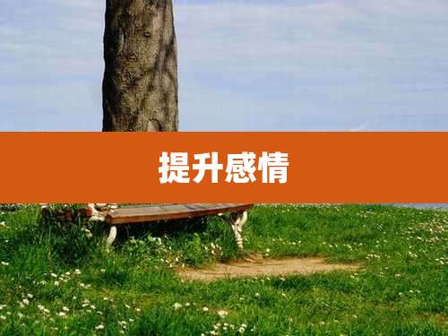 提升感情