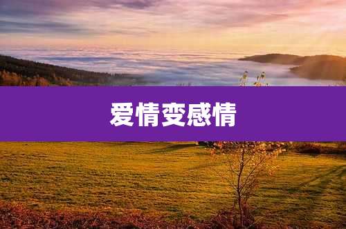 爱情变感情