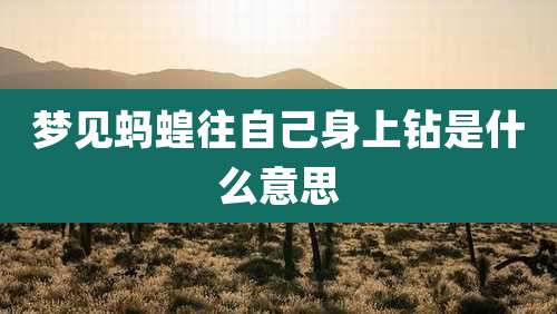 梦见蚂蝗往自己身上钻是什么意思