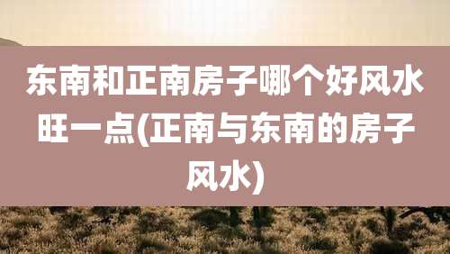 东南和正南房子哪个好风水旺一点(正南与东南的房子风水)