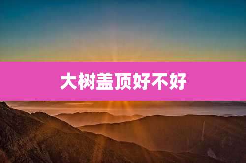 大树盖顶好不好