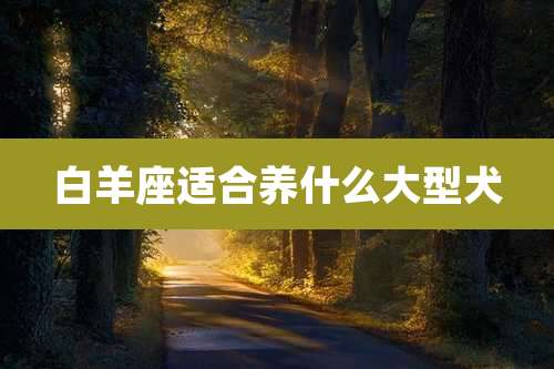 白羊座适合养什么大型犬