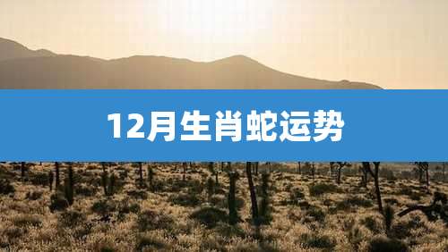 12月生肖蛇运势
