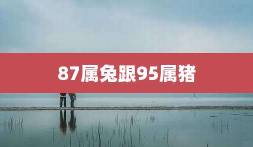 87属兔跟95属猪