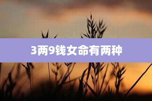 3两9钱女命有两种