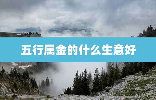 五行属金的什么生意好