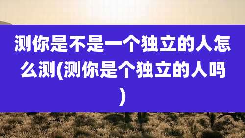测你是不是一个独立的人怎么测(测你是个独立的人吗)