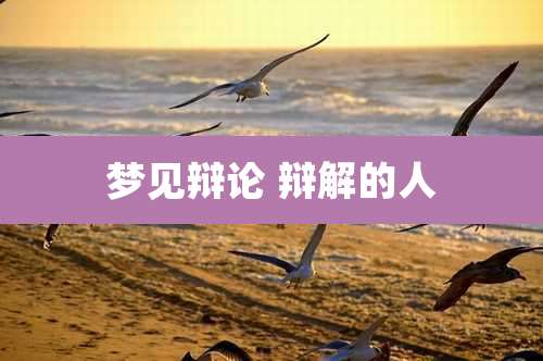 梦见辩论 辩解的人