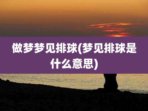 做梦梦见排球(梦见排球是什么意思)