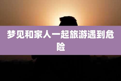 梦见和家人一起旅游遇到危险