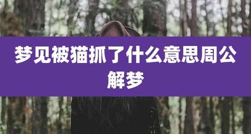 梦见被猫抓了什么意思周公解梦