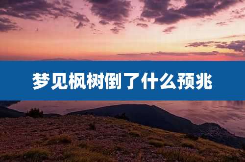 梦见枫树倒了什么预兆