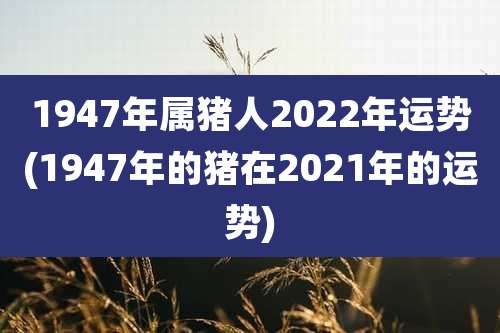1947年属猪人2022年运势(1947年的猪在2021年的运势)