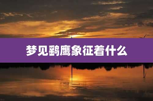 梦见鹞鹰象征着什么