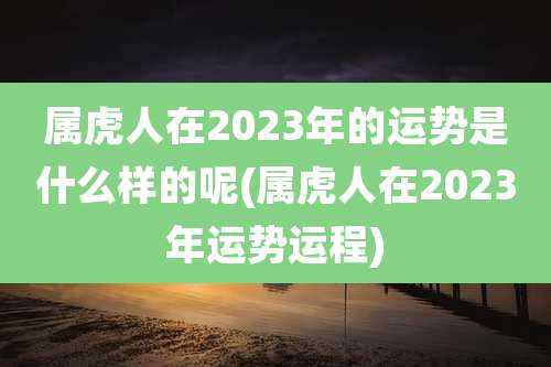 属虎人在2023年的运势是什么样的呢(属虎人在2023年运势运程)