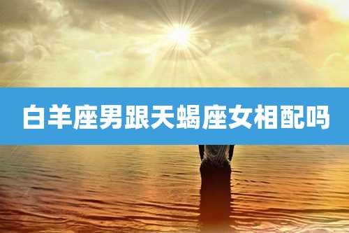 白羊座男跟天蝎座女相配吗