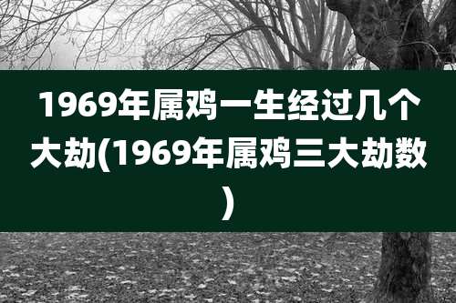 1969年属鸡一生经过几个大劫(1969年属鸡三大劫数)