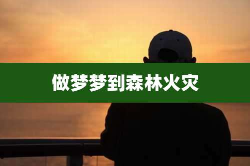 做梦梦到森林火灾