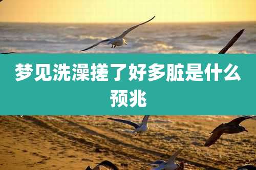 梦见洗澡搓了好多脏是什么预兆