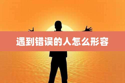 遇到错误的人怎么形容