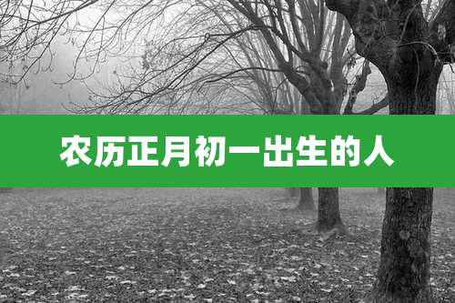 农历正月初一出生的人
