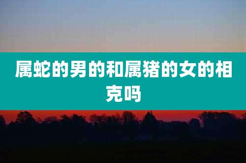 属蛇的男的和属猪的女的相克吗