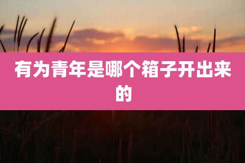 有为青年是哪个箱子开出来的