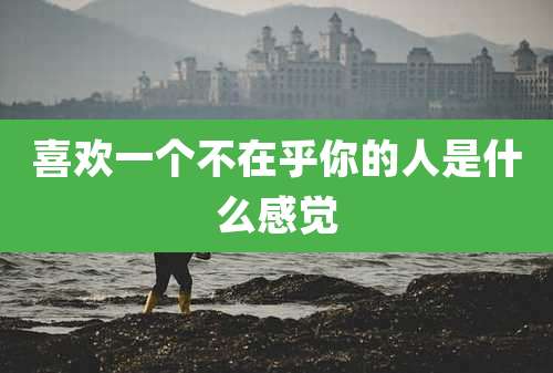 喜欢一个不在乎你的人是什么感觉