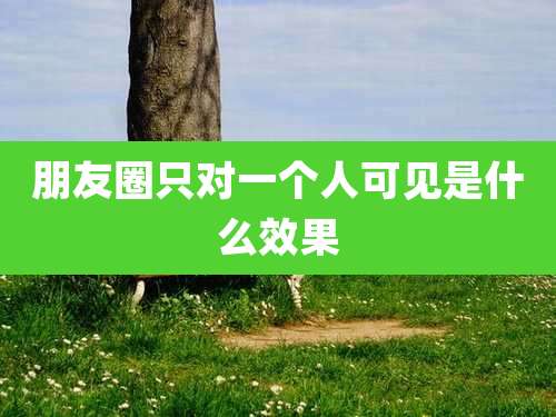 朋友圈只对一个人可见是什么效果