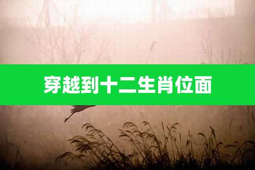 穿越到十二生肖位面