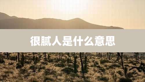 很腻人是什么意思