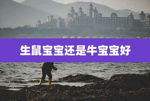 生鼠宝宝还是牛宝宝好
