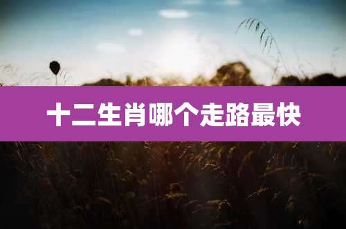 十二生肖哪个走路最快