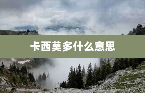 卡西莫多什么意思