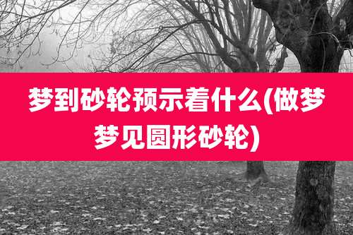 梦到砂轮预示着什么(做梦梦见圆形砂轮)