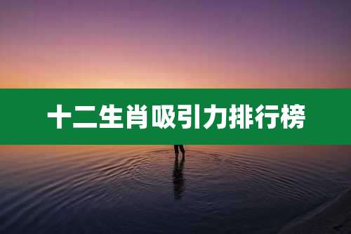 十二生肖吸引力排行榜