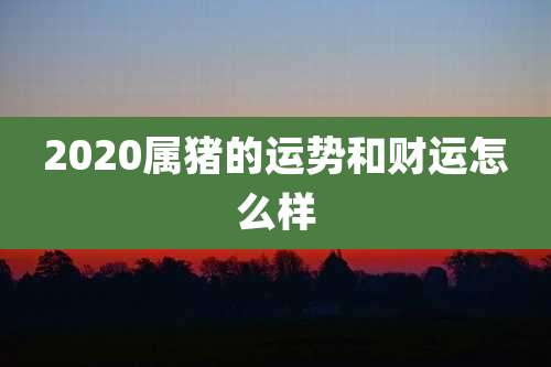 2020属猪的运势和财运怎么样
