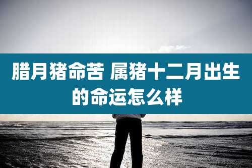 腊月猪命苦 属猪十二月出生的命运怎么样