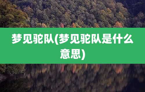 梦见驼队(梦见驼队是什么意思)