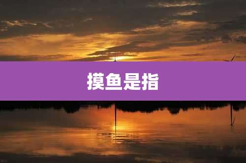 摸鱼是指