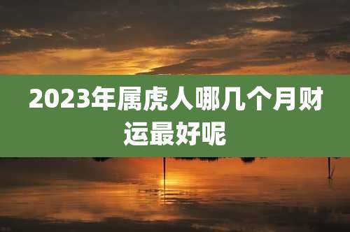 2023年属虎人哪几个月财运最好呢