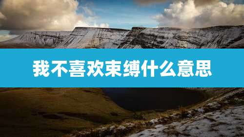 我不喜欢束缚什么意思