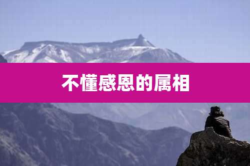 不懂感恩的属相