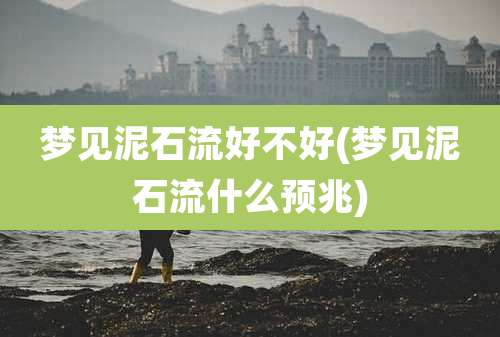 梦见泥石流好不好(梦见泥石流什么预兆)