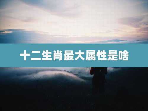 十二生肖最大属性是啥