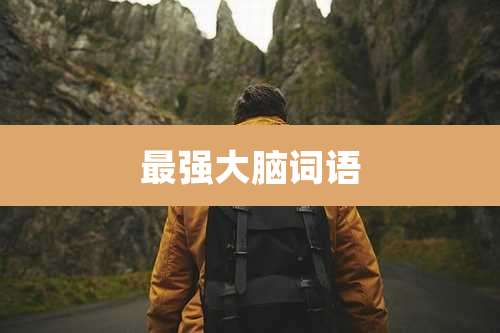 最强大脑词语